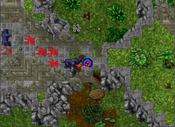 panthers.png