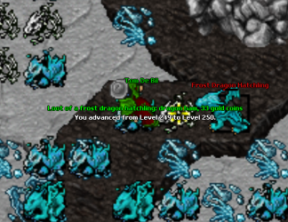 unknown (4).png