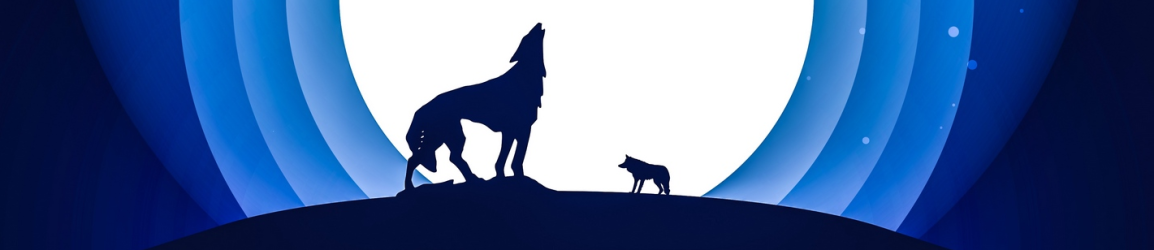 header2.png