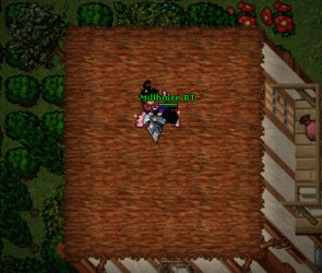asdsa.gif