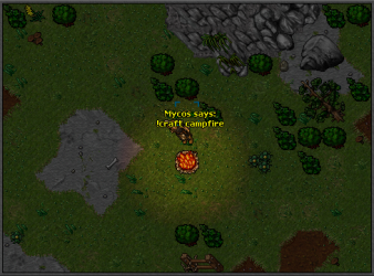 Campfire_3.png