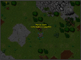 Campfire_2.png