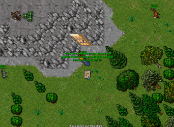 site 5.png