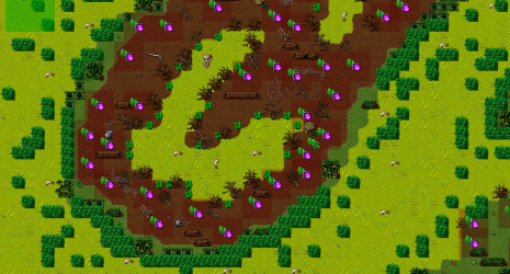 Bog 2.png