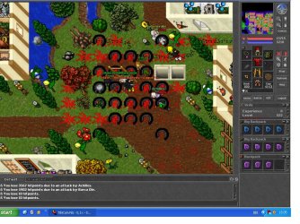 generalis.jpg