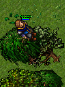 Screenshot (270).png