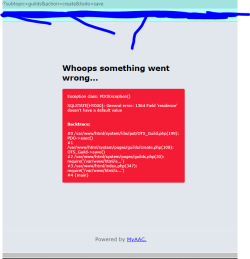 Error save_Guild.PNG