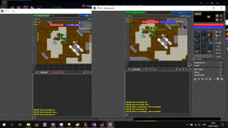 test nekiro.png