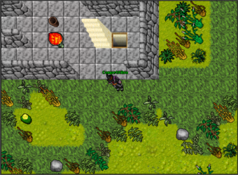 competitibia2.PNG