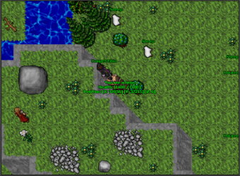 competitibia3.PNG