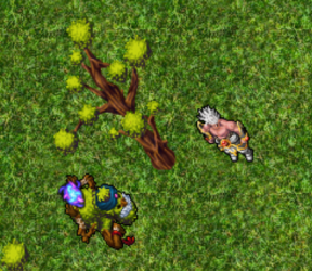 teste.png
