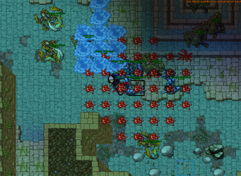 2023-02-25_075505547_Testt_Hotkey.png