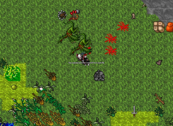 1.PNG