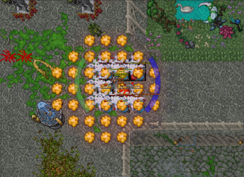 exp1.png