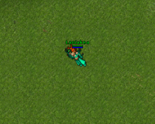 asdfr.gif