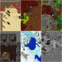 collage2.png