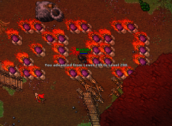 z1.png