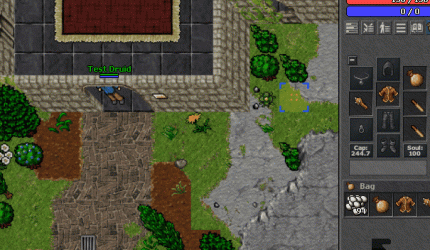 TP.gif