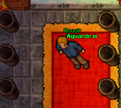 p.png
