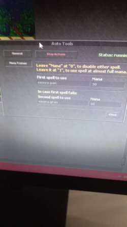 Anti idle (é pra n deslogar).jpeg