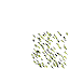 1689850635703.gif
