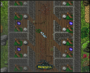 Merestia_Training.gif
