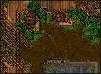 JungleCity5.png