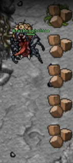 1693924338803.png