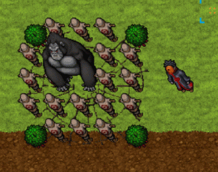 Gorilla.gif
