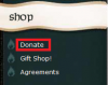 shop page.png
