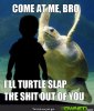Gangsta-Turtle-is-Angry.jpg