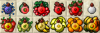 FruitPotions.png