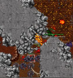 50 hs.jpg