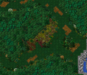 image-12.png