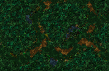 image-9-1.png