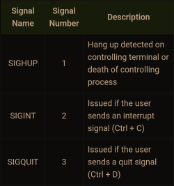 Screenshot_20231031_005356_Opera.png