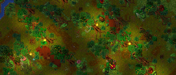 jungle.png
