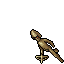 1699980436814.gif