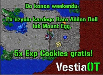 promocja_Exp_cookies_rd.JPG