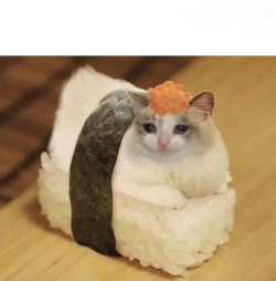1702834936557.png