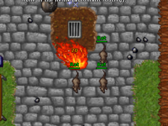 1707100905956.png