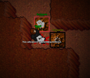 shield 53.png