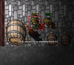 shield 57.png