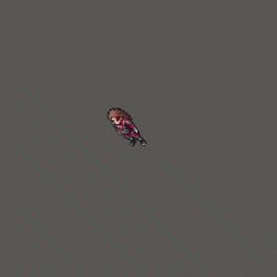 portifolio chouji.gif
