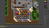 Tibia 2012-07-16 13-17-27-07.jpg
