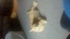 2012-07-18_18-06-57_148.jpg