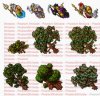 drzewa123.jpg