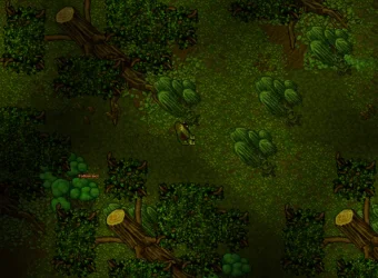 oldforest.webp