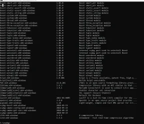 vcpkg3.webp