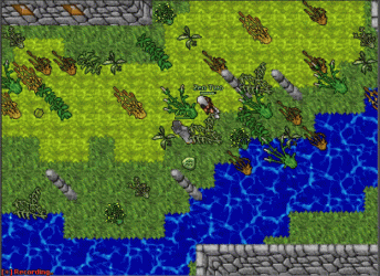1742038152518.gif